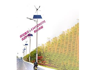 風(fēng)光互補太陽能路燈FGD-31